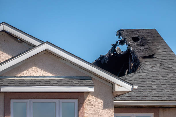 Top rated local Fire Damage Removal specialists in Bryn Athyn, PA